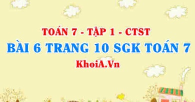 Bài 6 trang 10 SGK Toán 7 tập 1 Chân trời sáng tạo